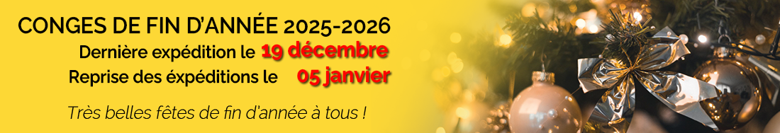 Cong&eacute;s de fin d'ann&eacute;e 2025-2026